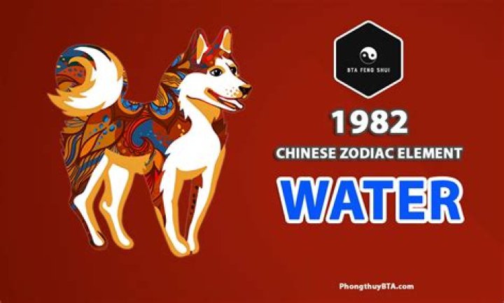 1982 Chinese Zodiac: Discover the Secrets of the Water Dog Year