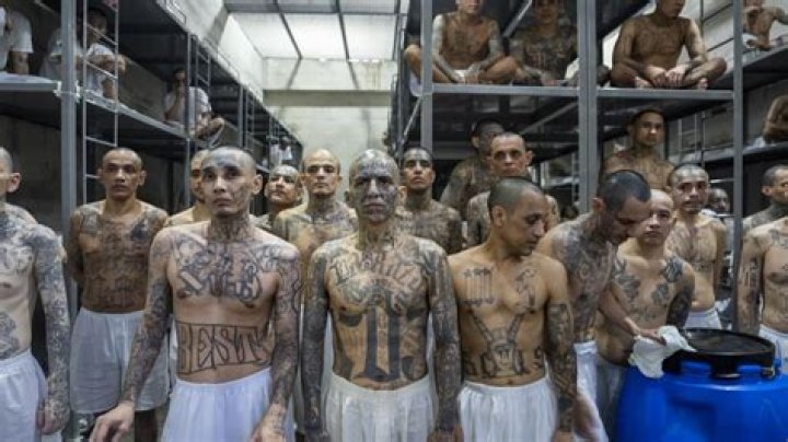 Aryan Brotherhood Barry: Unveiling the Truth Behind One of America's Most Notorious Prison Gangs