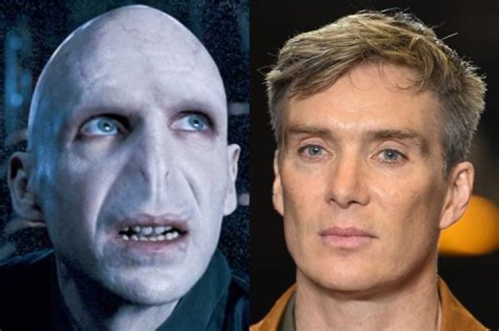 Blonde Actord: The Rise of a Star