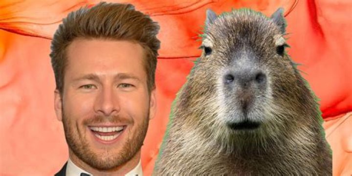 Capybara Glen Powell: The Internet's Favorite Animal Duo