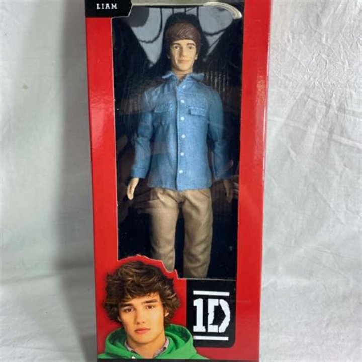 Discover the Fascinating World of the Liam Payne Doll