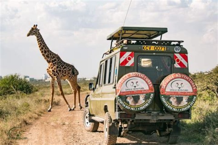 Discover the Vibrant Charm of Nairobi: Your Ultimate Guide to www.nairobihot.com