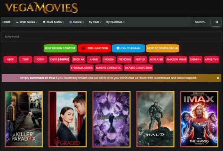 Discover the World of Entertainment with vegamovies.in4k