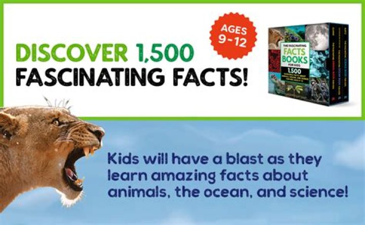 Discovering Liam Oayne Height: The Fascinating Facts