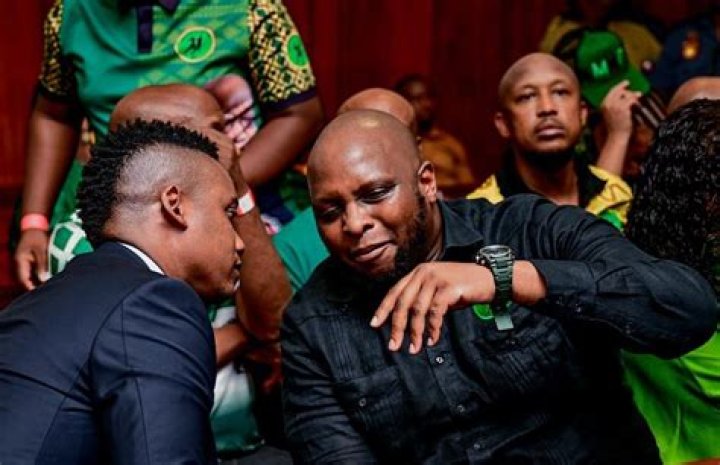 Duduzile Zuma: A Comprehensive Look at Her Qualifications and Background