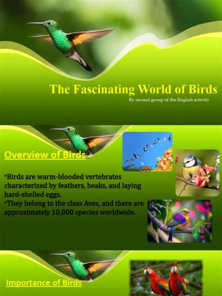 Exploring the Fascinating World of Hdhubu4u