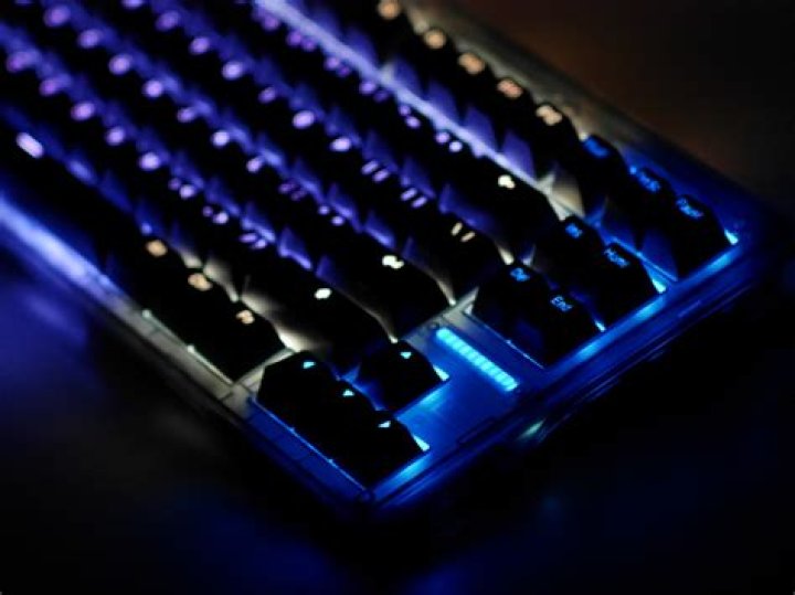 Exploring the Innovative Features of Wootility Beta