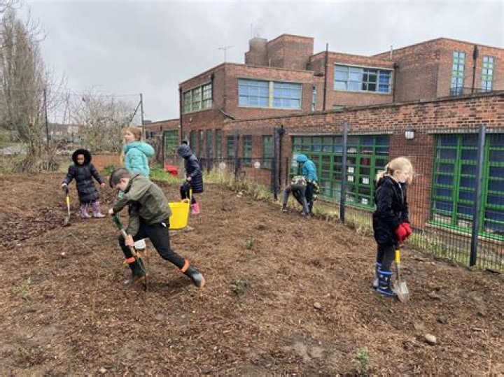 Exploring the Legacy of Liam Payne Primary School