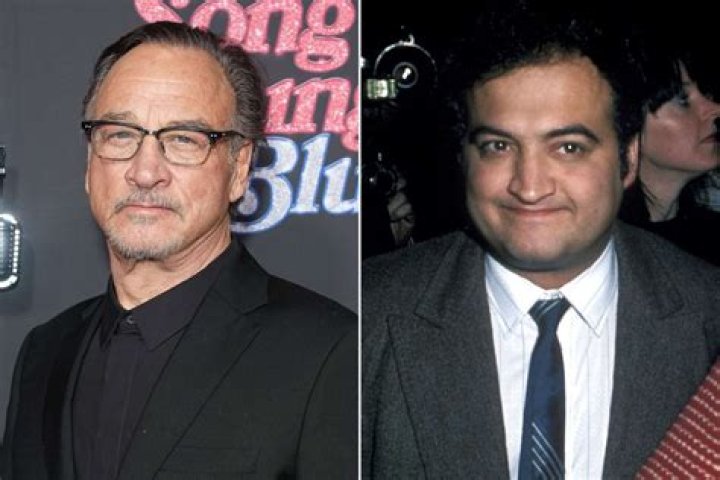 Exploring the Life and Legacy of Belushi: A Comprehensive Guide