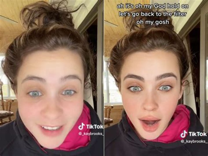 Exploring the Phenomenon of Insta Finsta: The Dual Faces of Social Media