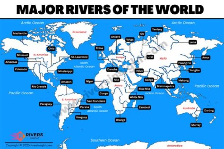 Exploring the World of Rivers Cuomo's Kids