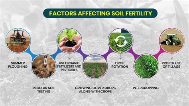 Fertilization Hiram: A Comprehensive Guide to Boosting Plant Growth and Yield