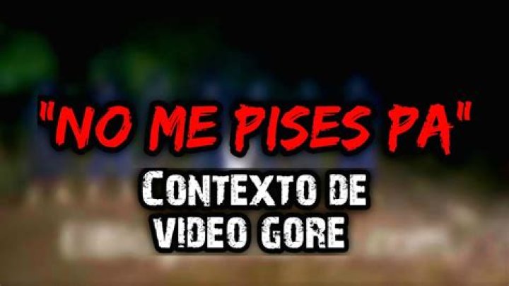 Gore No Me Pises Pa: The Rise of a Viral Sensation