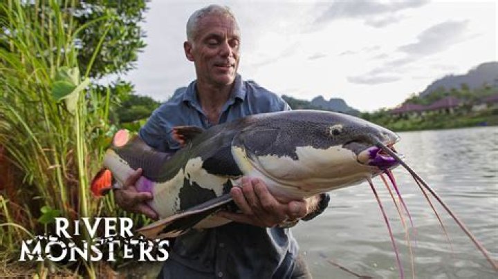 Jeremy Wade: The Renowned Biologist and Adventurer Who Explores the World's Rivers