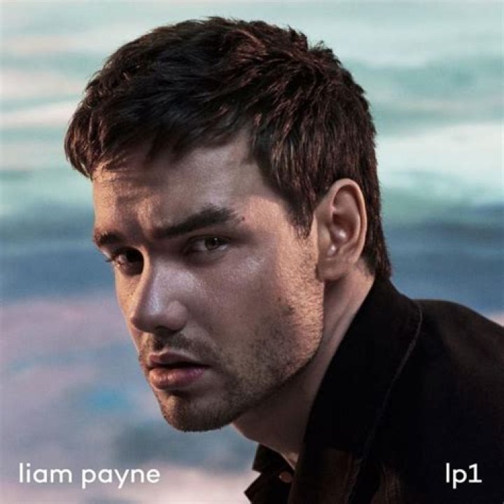 Liam Payne's LP1: The Definitive Wiki