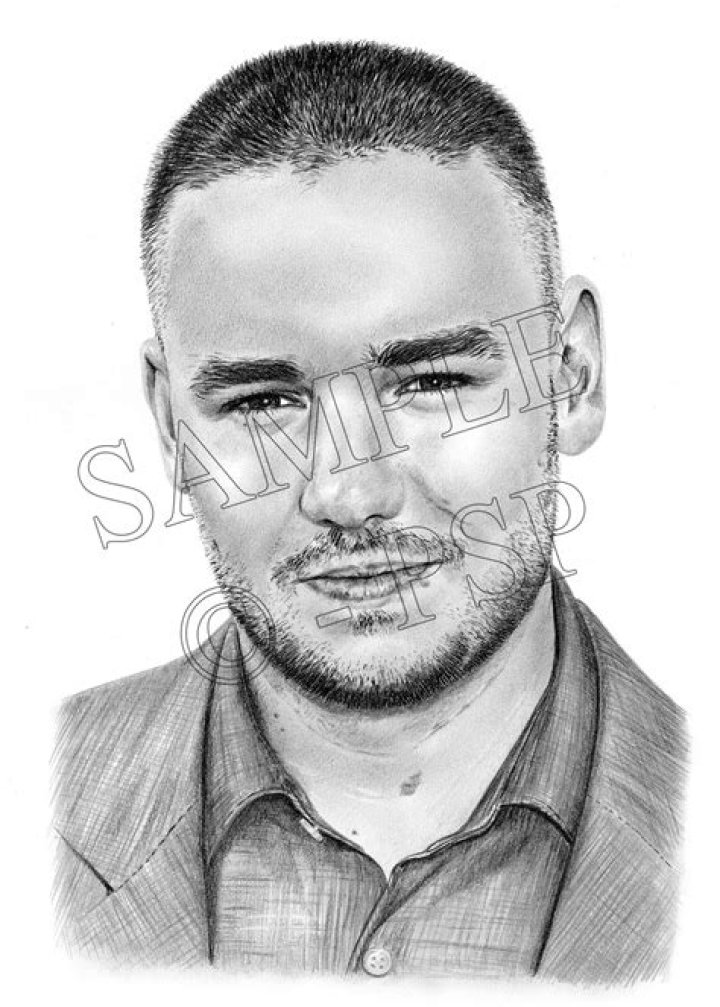 Liam Payne Drawings: A Creative Exploration of the Star’s Artistic Side