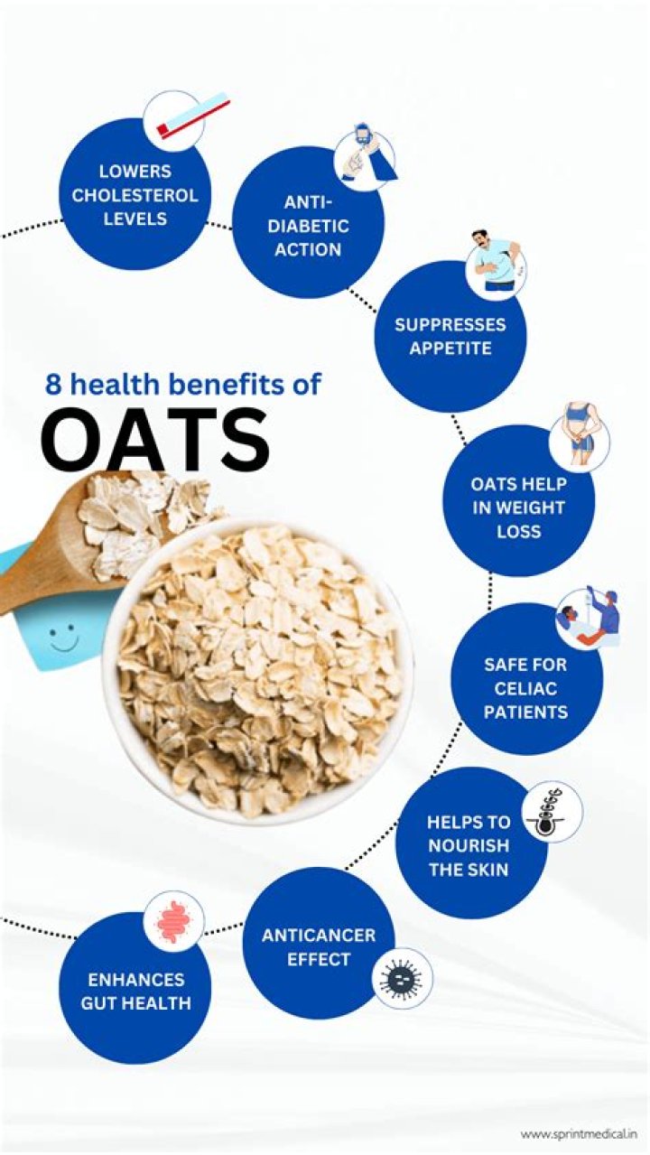 May I Have Some Oats, Brother? A Comprehensive Guide to Oats and Their Benefits