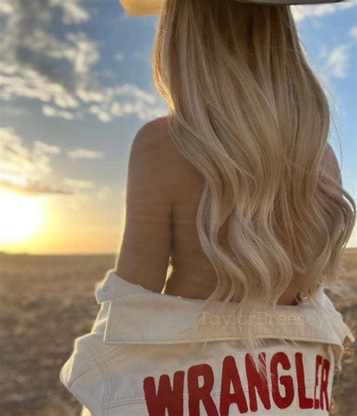 Taylor Breesey GIFs: The Ultimate Collection for Every Occasion