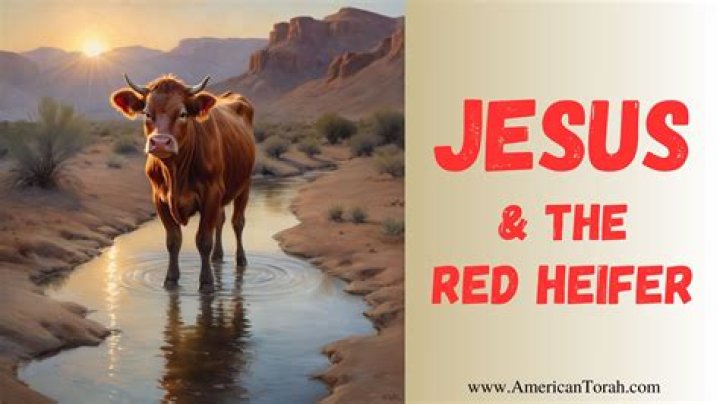 The Red Heifer in the Bible: Unveiling Its Significance and Symbolism