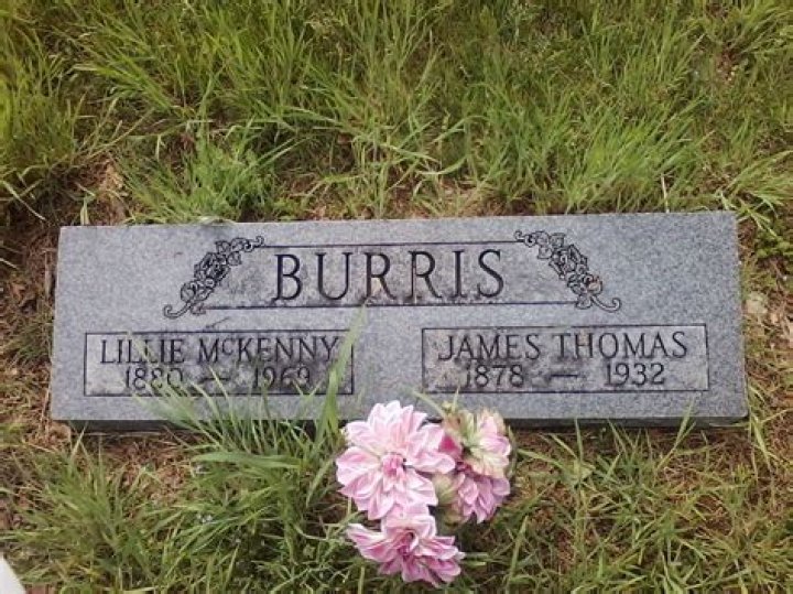 Thomas Burris Wikipedia: A Comprehensive Guide to His Life, Career, and Achievements