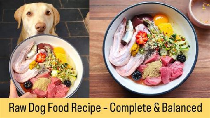 Understanding the Meaning of "Raw Dog"