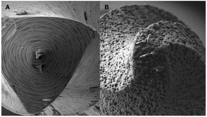 Unraveling the Mysteries of Twitter Tea Pain