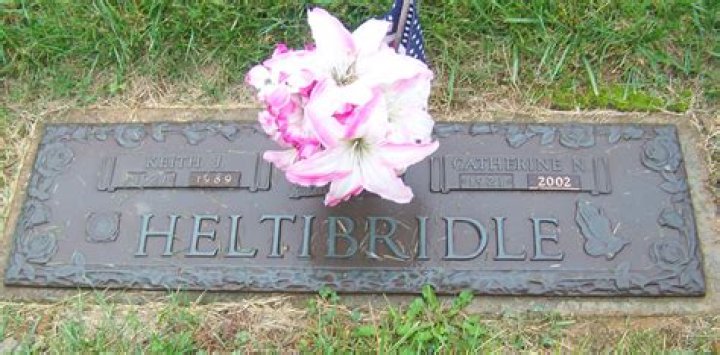 Unraveling the Mystery Behind James Heltibridle's Cause of Death
