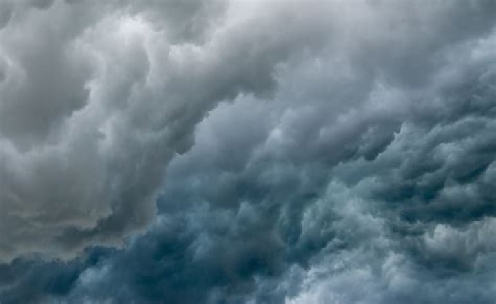 Unraveling the Phenomenon of Jacobfuckingjones