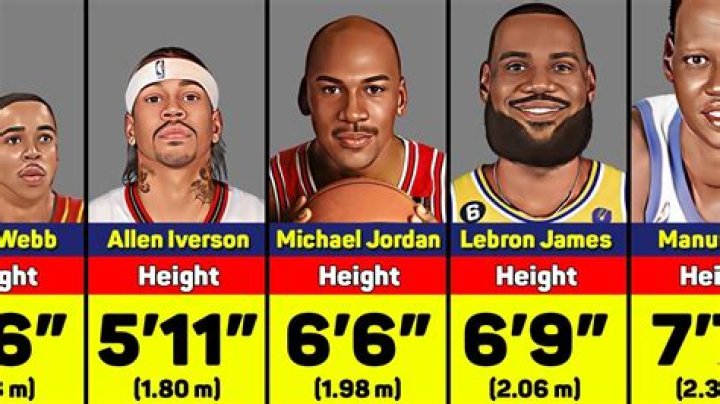 Unveiling the Dimensions of Kevin James: Height and Weight Analysis