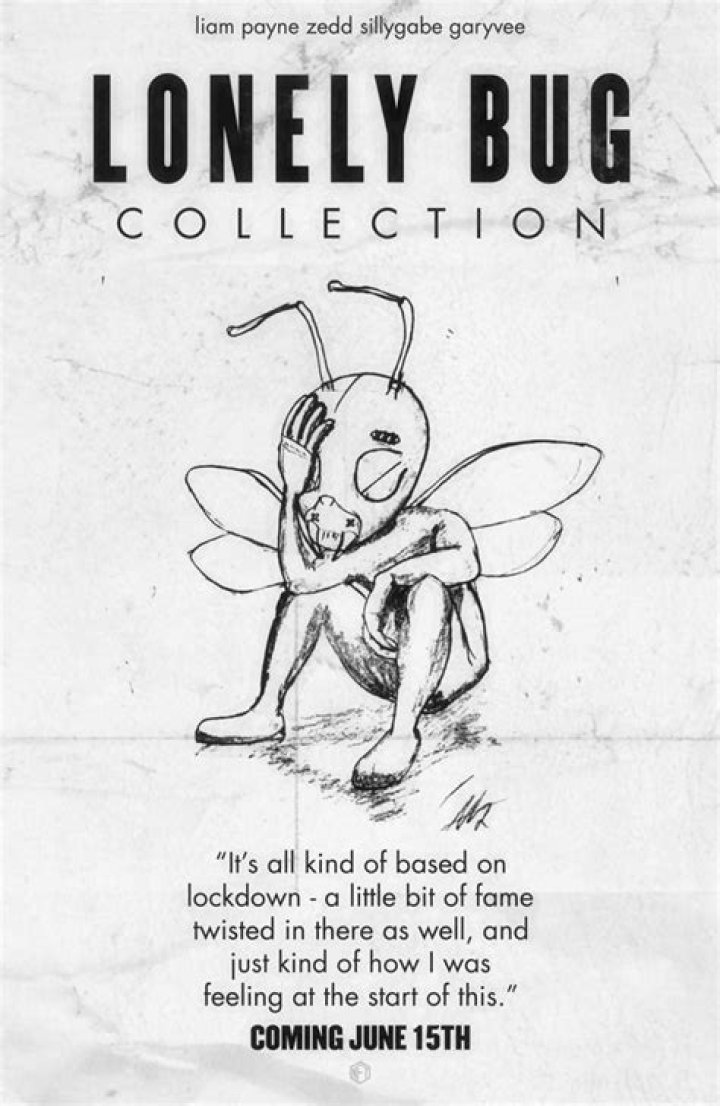 Unveiling the Emotional Depths: Liam Payne's "Lonely Bug"