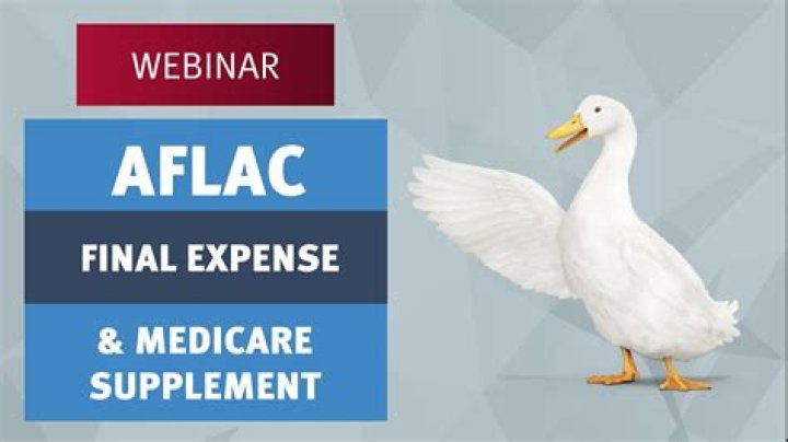 What Does AFLAC Do? A Comprehensive Guide to Understanding AFLAC's Role in Insurance